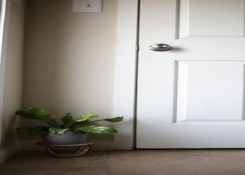 The Hidden Signs Your Home Needs Restumping and How to Spot Them Early