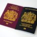 What to Know Before Applying for UK Citizenship