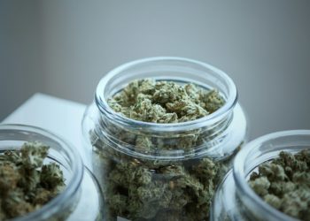 What You Need to Know About Cannabis Legality in the UK 2026