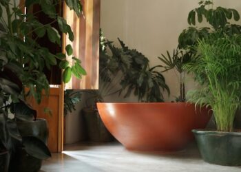 What Are the Best Yoga Hotels in Germany? 