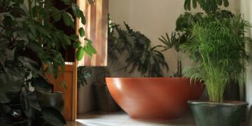 What Are the Best Yoga Hotels in Germany? 