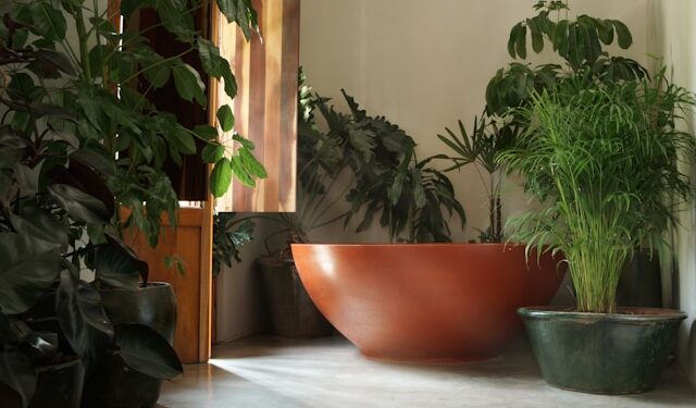 What Are the Best Yoga Hotels in Germany? 