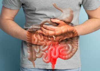 Navigating Digestive Health: Understanding Your Gut’s Needs