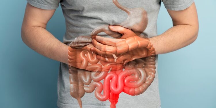 Navigating Digestive Health: Understanding Your Gut’s Needs