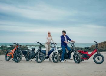 Dual Motor Ebike