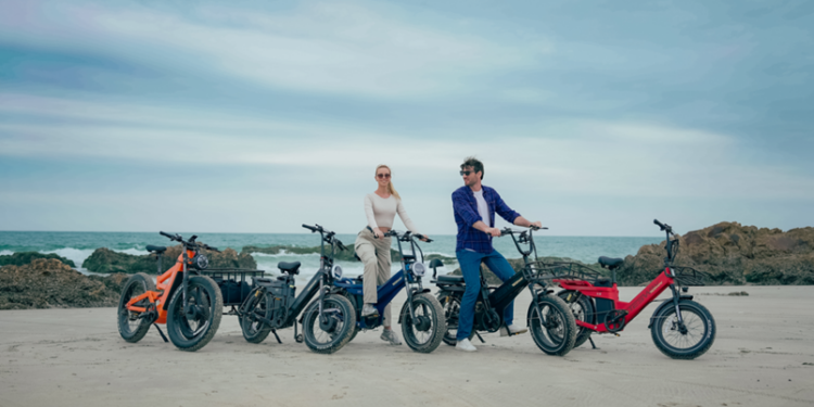 Dual Motor Ebike