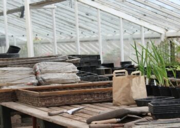 The Ultimate Guide for Garden Organisers