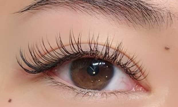 Lash Extension