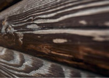 Shou Sugi Ban: The Centuries-Old Japanese Art of Charring Wood Appearing on UK Homes