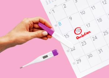 Ovulation Calculator