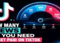 How Many Views Do You Need To Get Paid On TikTok