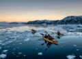 6 Best Operators for an Arctic Cruise Combining Greenland and Iceland