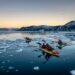 6 Best Operators for an Arctic Cruise Combining Greenland and Iceland