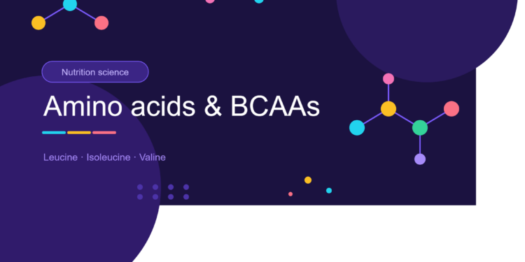 BCAAs Explained