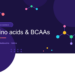 BCAAs Explained