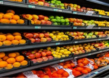 Fresh Produce Transport: Protecting Quality from Source to Shelf for UK Food Businesses