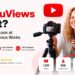 YouViews