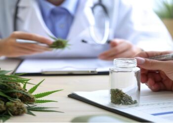 Inside the UK’s Private Medical Cannabis Clinics: How the Sector Actually Works