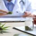 Inside the UK’s Private Medical Cannabis Clinics: How the Sector Actually Works