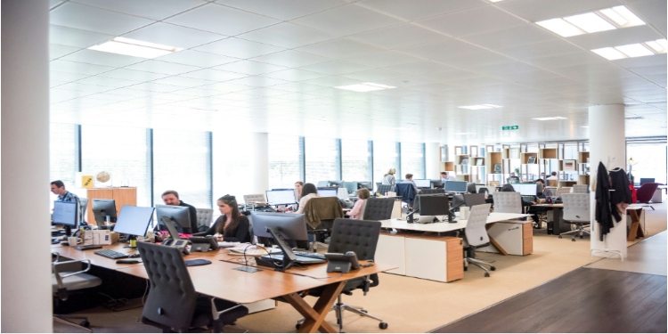 Workplace Sexual Harassment Allegations: Why They Require a Dual Legal Strategy