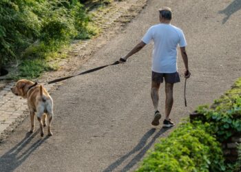 How to Stay Active When You Have a Busy Schedule