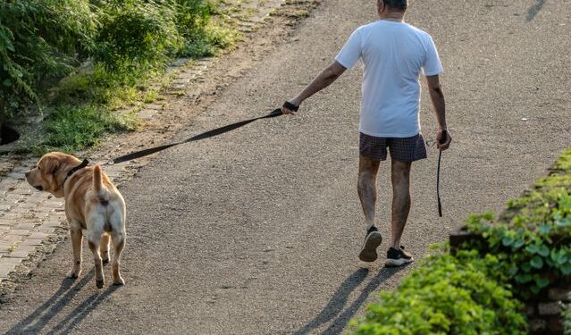 How to Stay Active When You Have a Busy Schedule