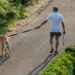 How to Stay Active When You Have a Busy Schedule