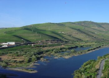 Portugal’s N2: Riding 739 km Across an Entire Country
