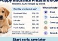 Puppy Insurance Prices in the UK: What New Dog Owners Should Know